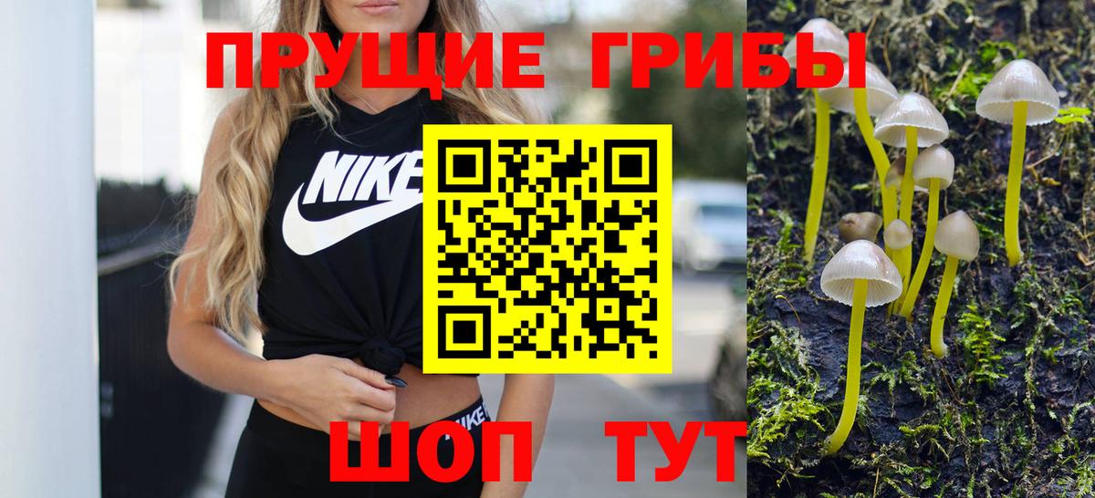 Псилоцибиновые грибы Magic Shrooms  Вход с VPN  Галлюциногенные грибы Psilocybine cubensis  Дзержинский 
