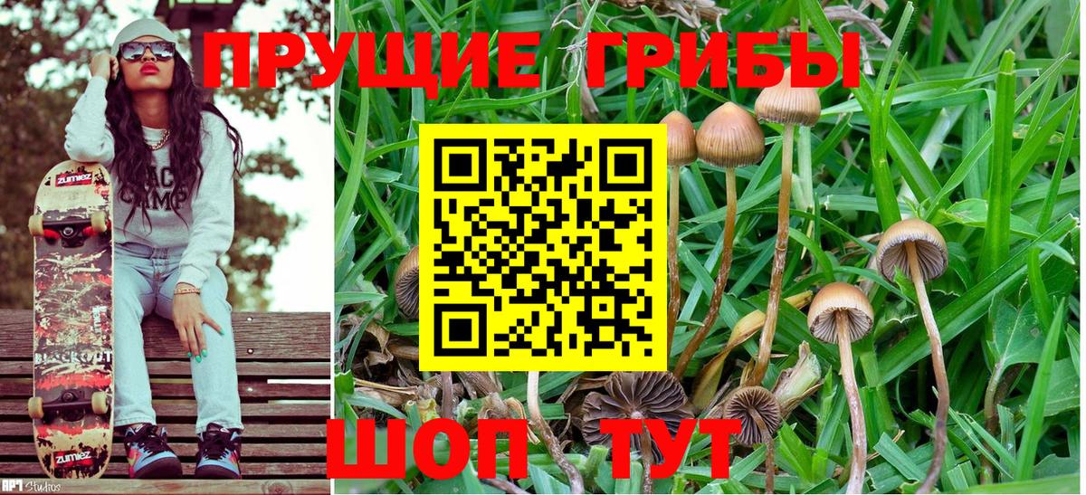 Псилоцибиновые грибы MAGIC MUSHROOMS Дзержинский